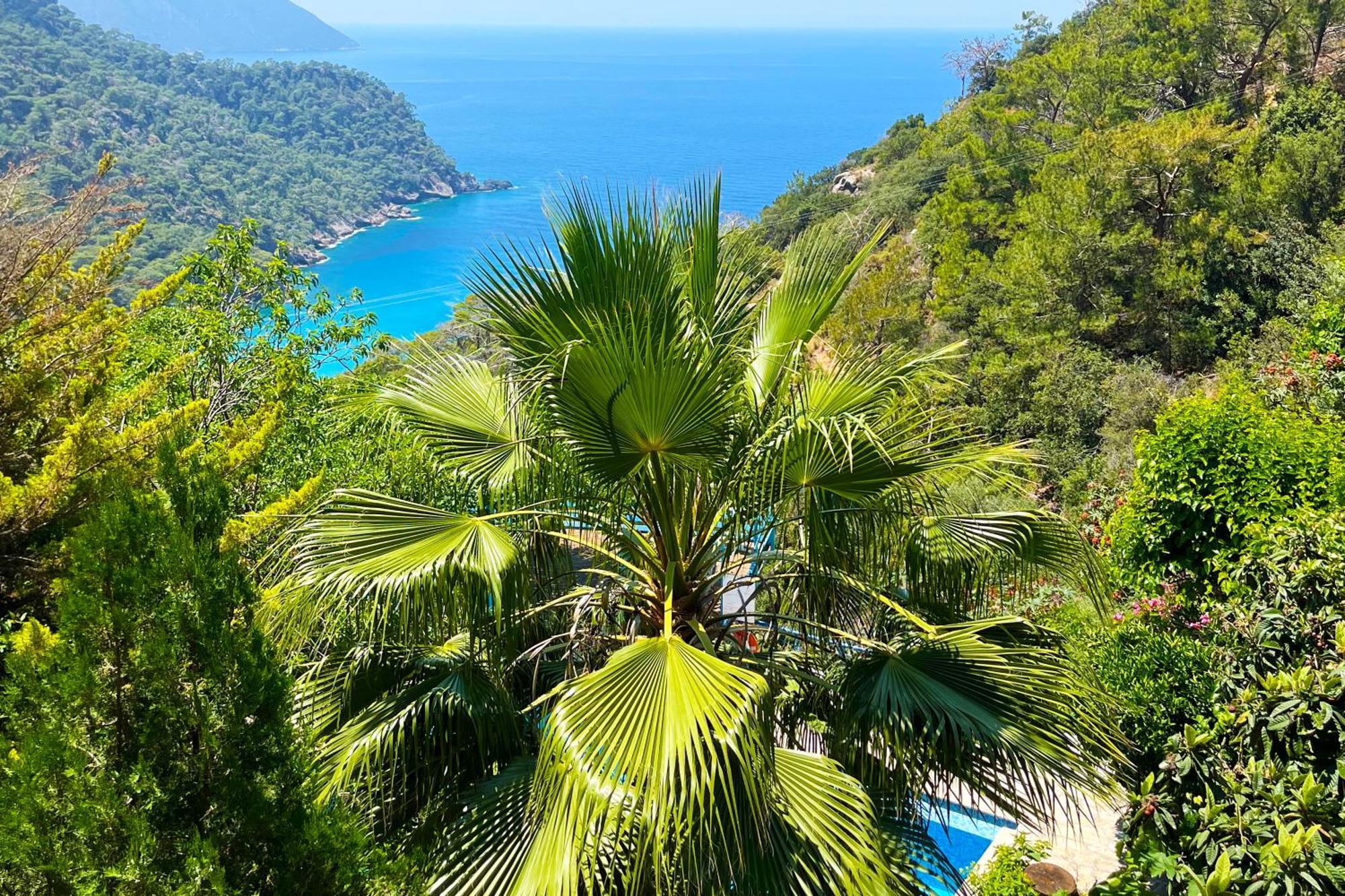 Fullmoon Camp Villa Faralya Buitenkant foto
